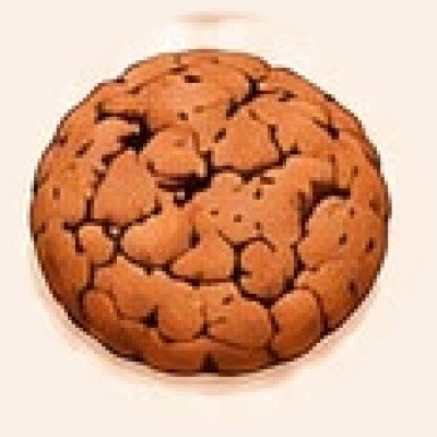 Ginger cookie by Suikerlief